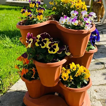 Dimora Il Campanile Frühstückspension Chieti