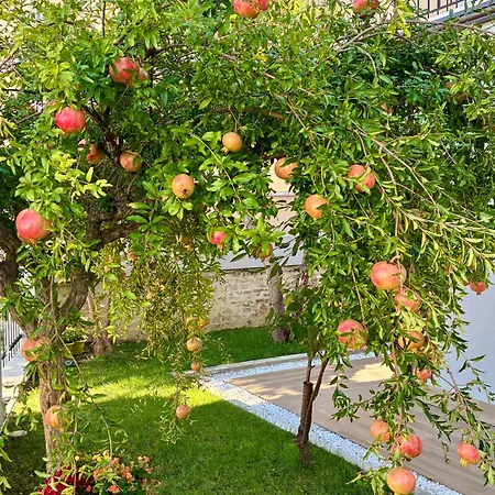 Frühstückspension Dimora Il Campanile Chieti