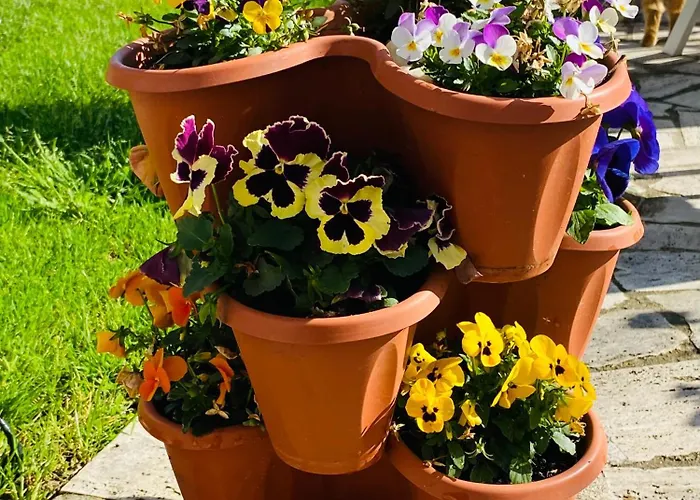 Dimora Il Campanile Bed & Breakfast Chieti